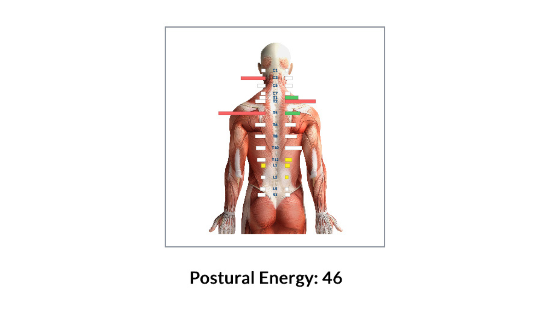 Case study image