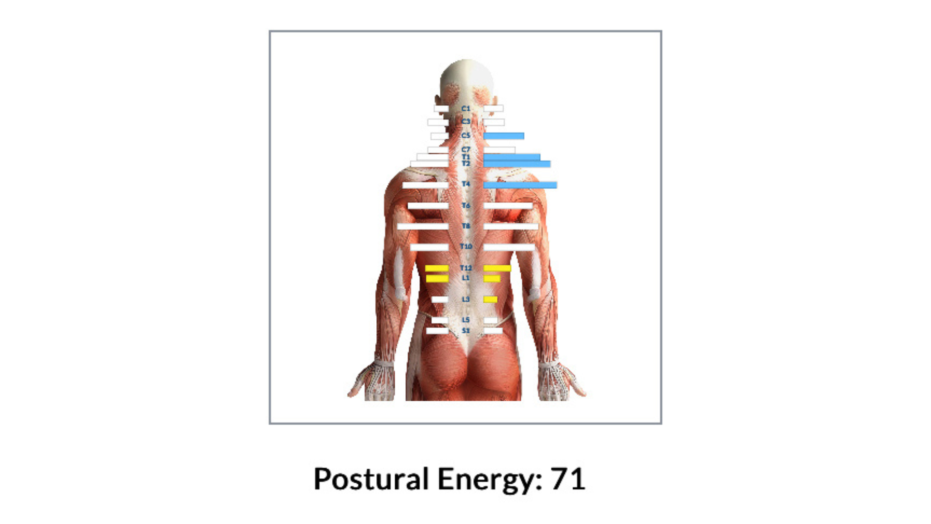 Case study image